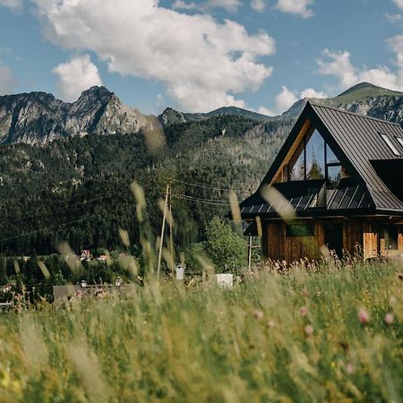 Sywarne Chalet Koscielisko Exterior photo