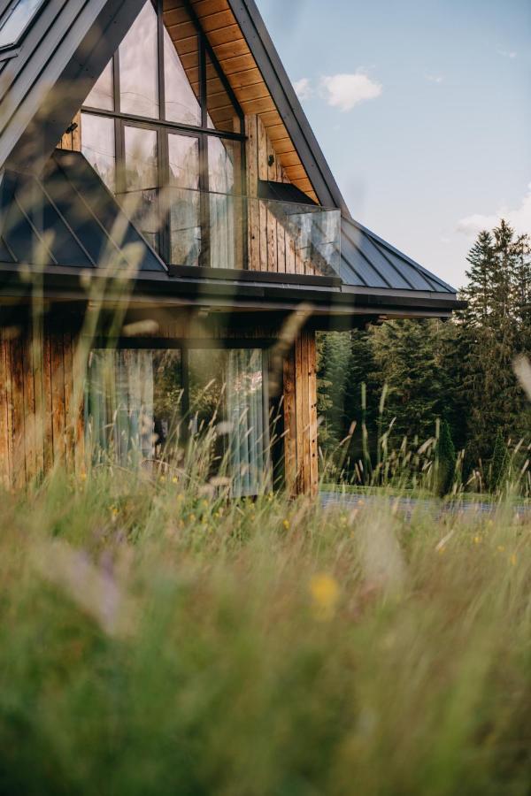 Sywarne Chalet Koscielisko Exterior photo