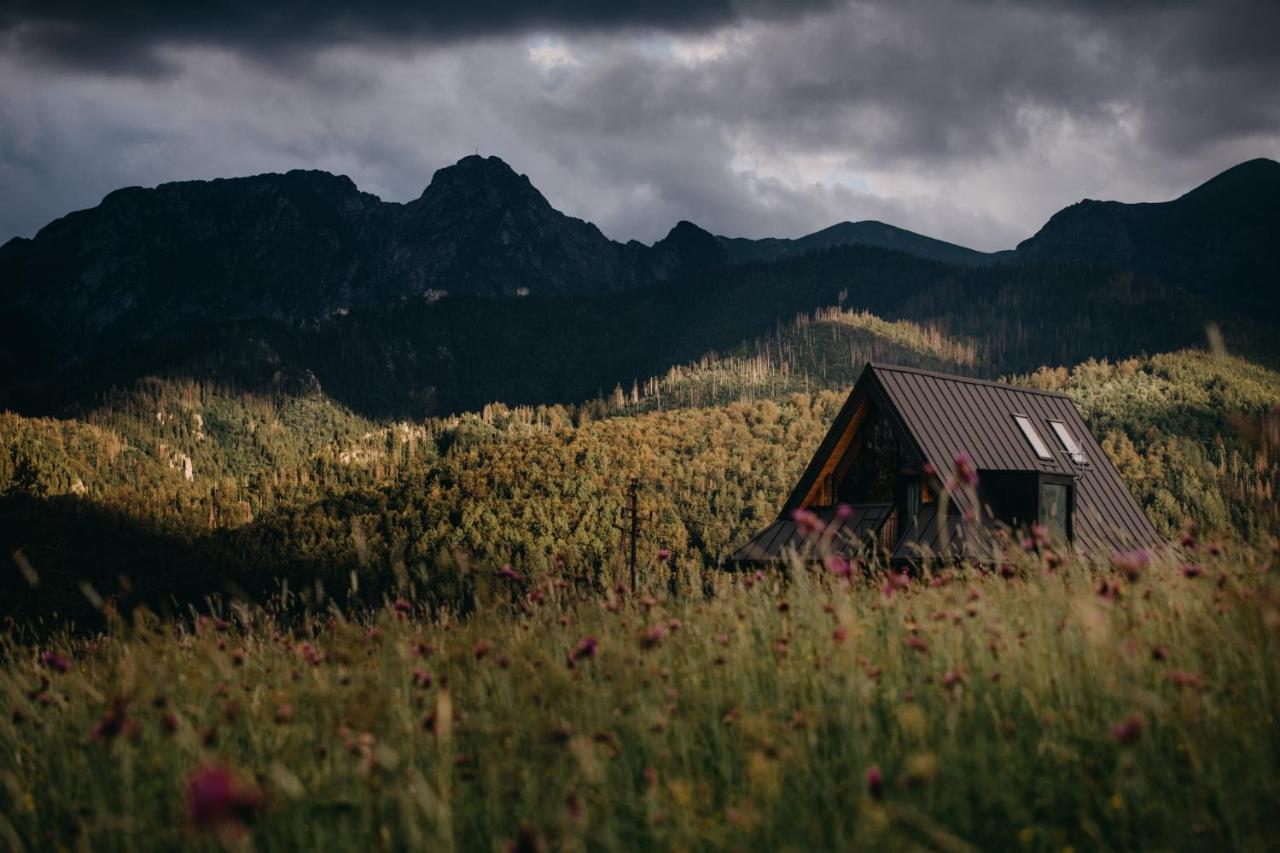 Sywarne Chalet Koscielisko Exterior photo