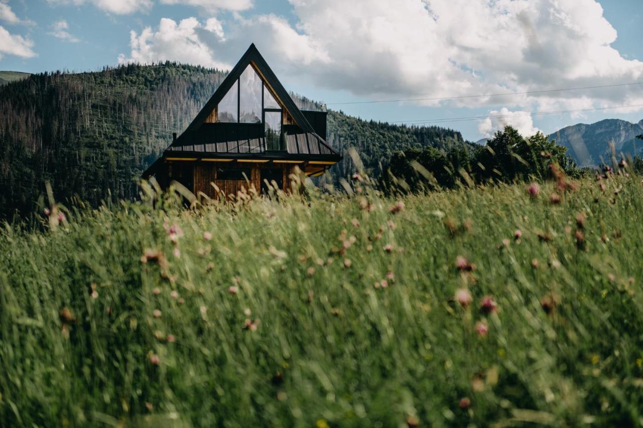 Sywarne Chalet Koscielisko Exterior photo